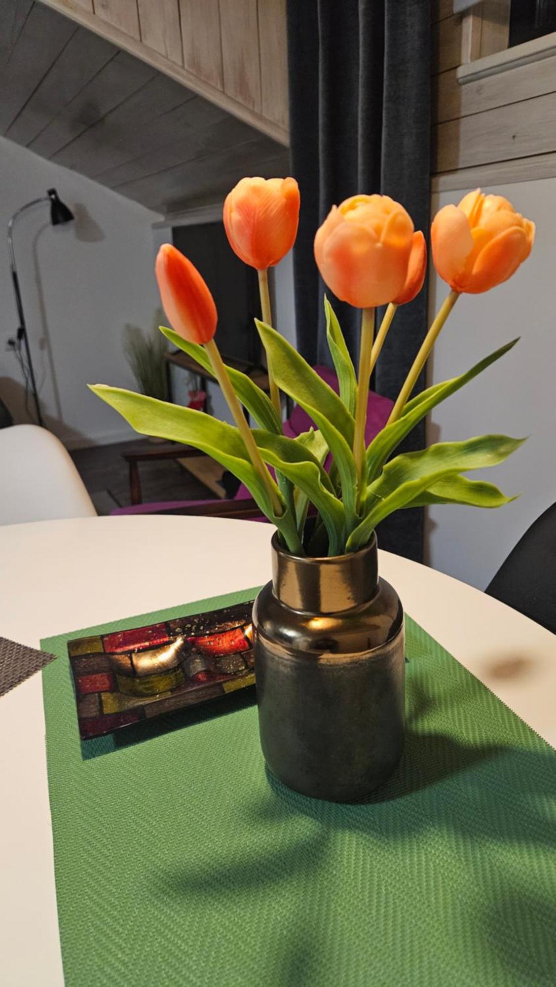 Studio Apartman Gradna ซาโมบอร์ ภายนอก รูปภาพ